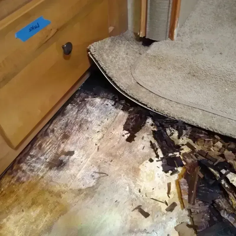 Wood Floor Water Damage in North Bergen, NJ